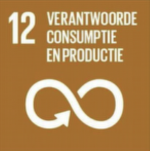 SDG12 verantwoorde consumptie en productie