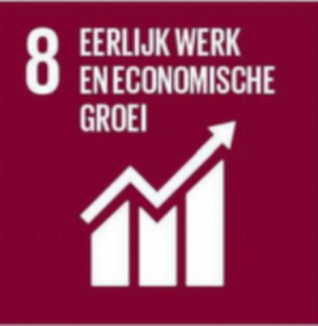 SDG8 eerlijk werk en economische groei