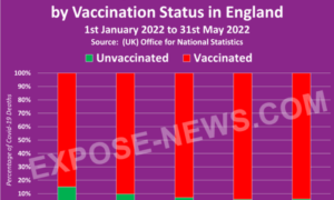 Chart Expose-News covid deaths bij vaccination status England